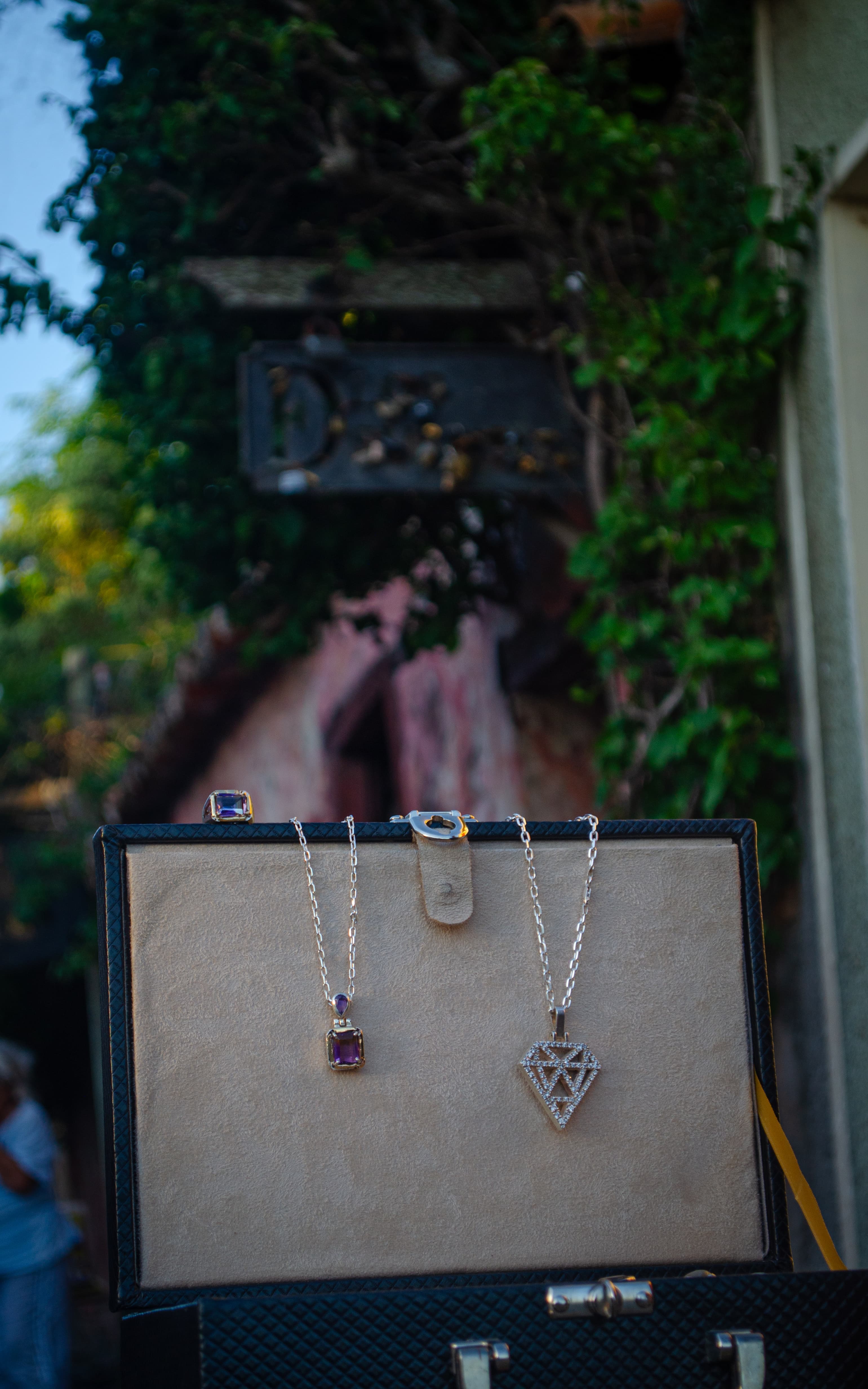 Colección Serpiente